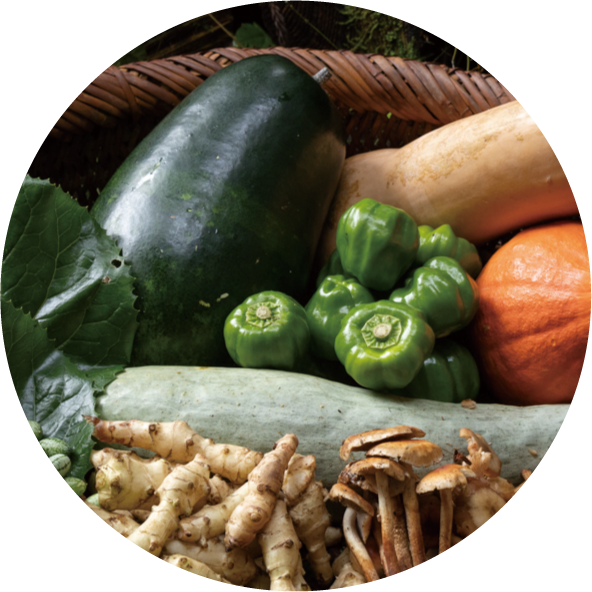 野菜の丸い写真